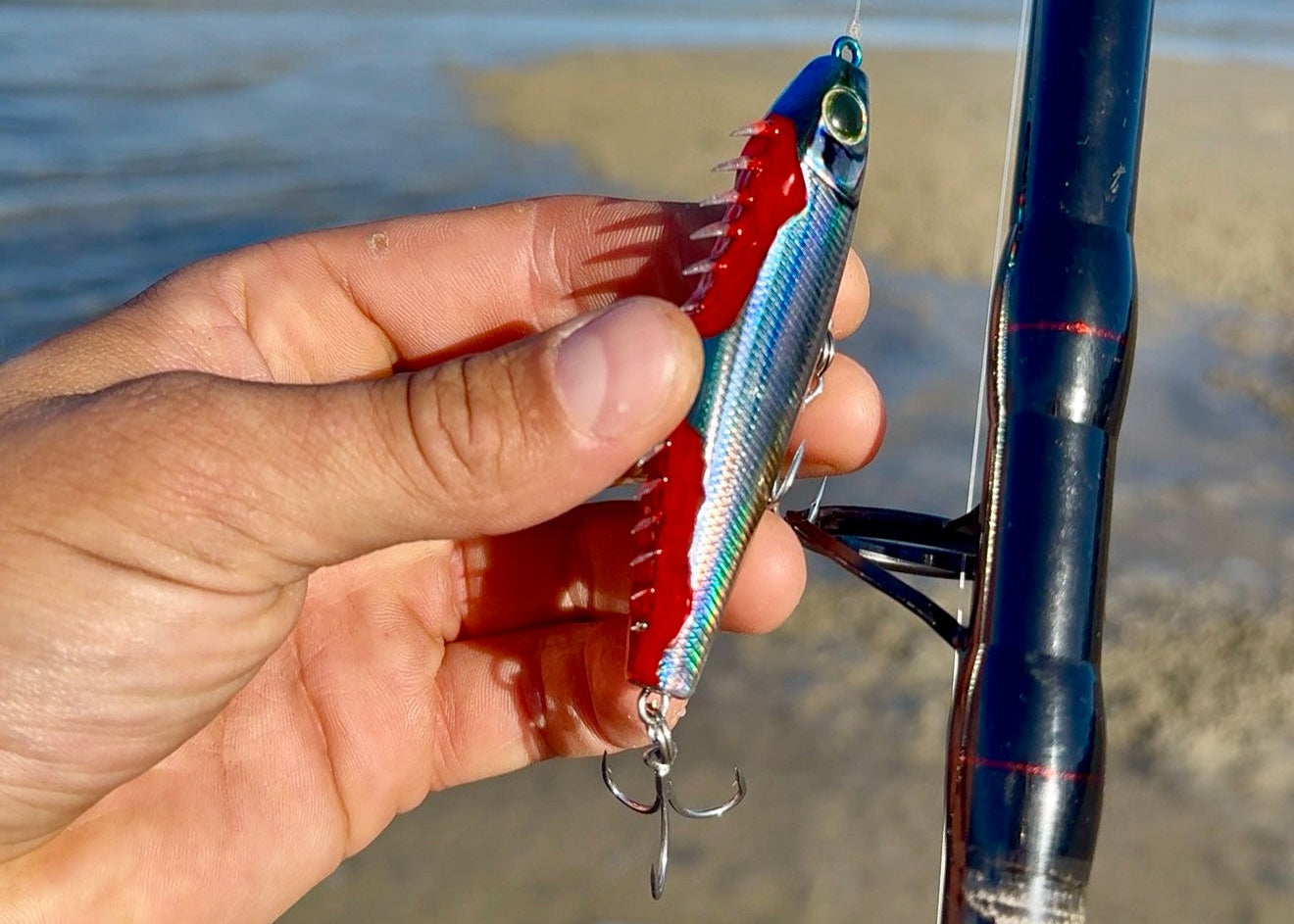 The Dead Sardine