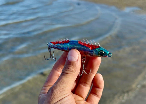 The Dead Sardine - Iridescent sheen