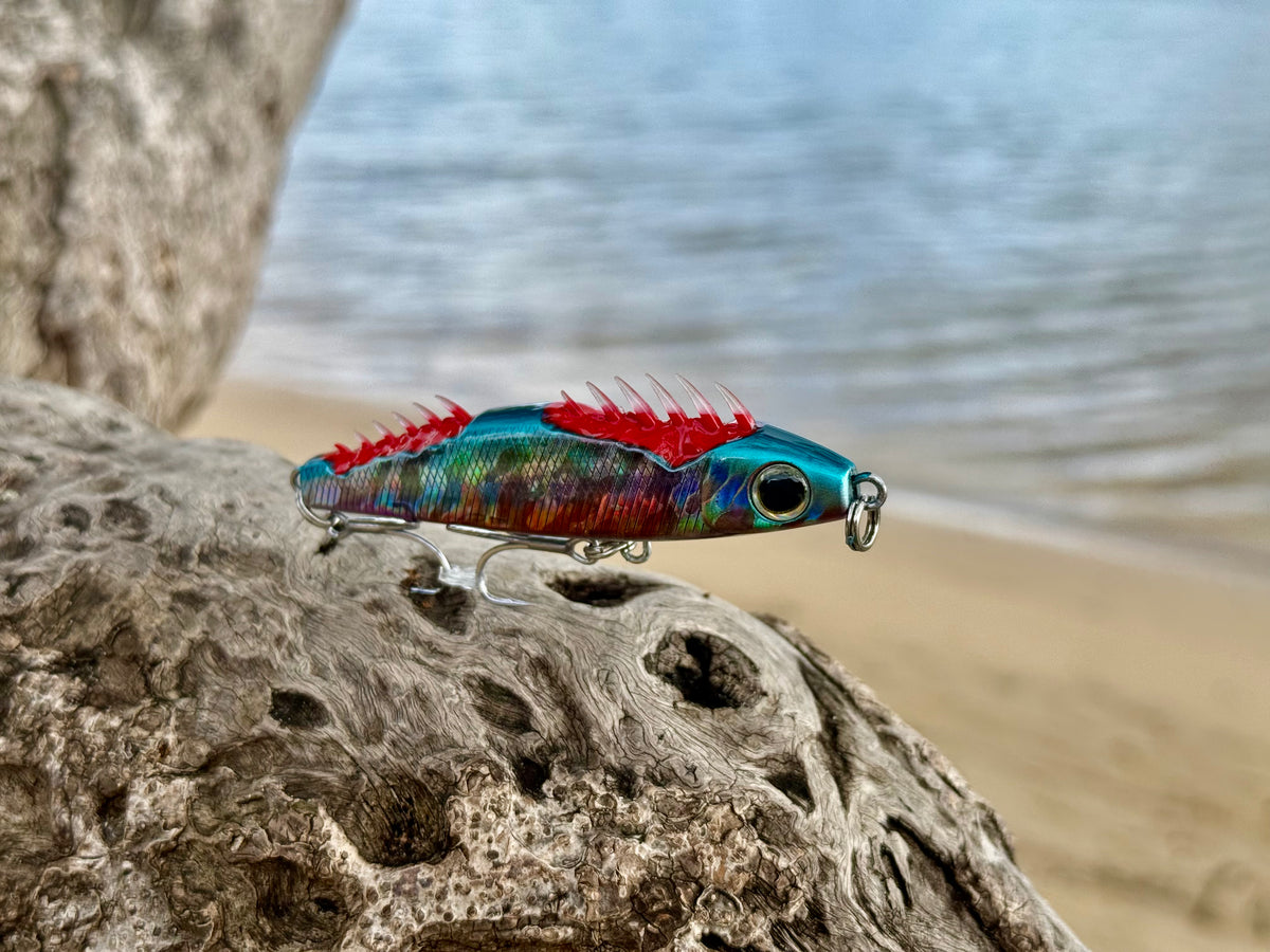 The Dead Sardine